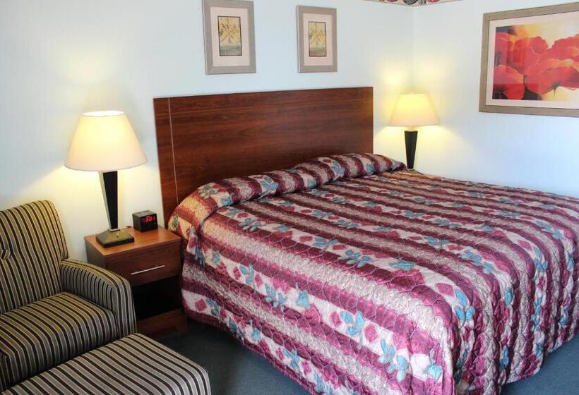 غرفة قياسية سرير كينج, Safari Inn