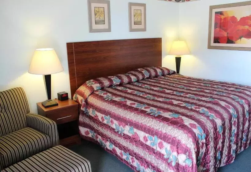 キングサイズベッドのスタンダードルーム, Safari Inn