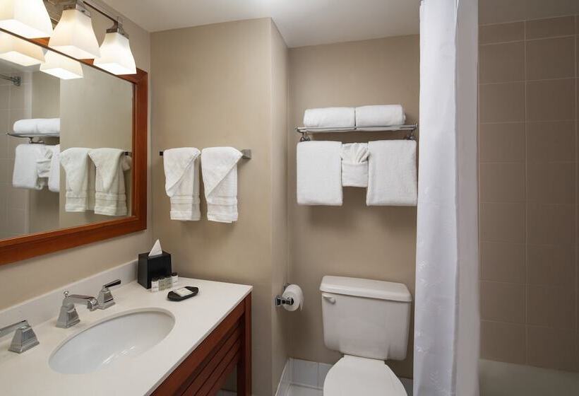 套房, Sheraton Suites Fort Lauderdale At Cypress Creek