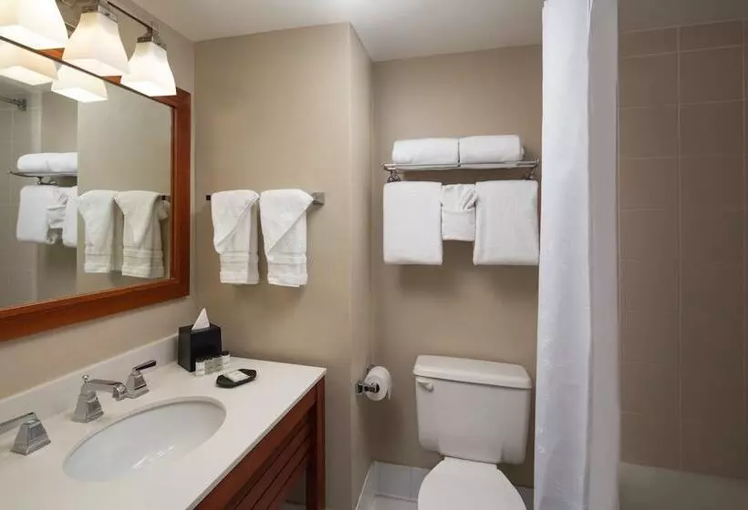 スイート, Sheraton Suites Fort Lauderdale At Cypress Creek