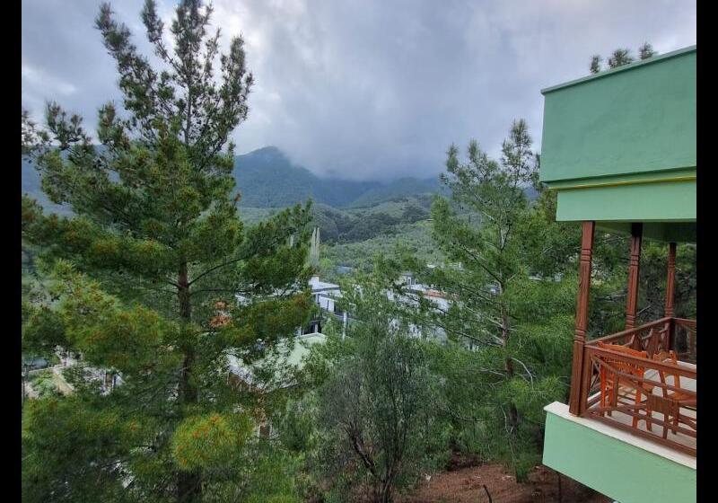 带大床的套房, Sheraton Suites Fort Lauderdale At Cypress Creek