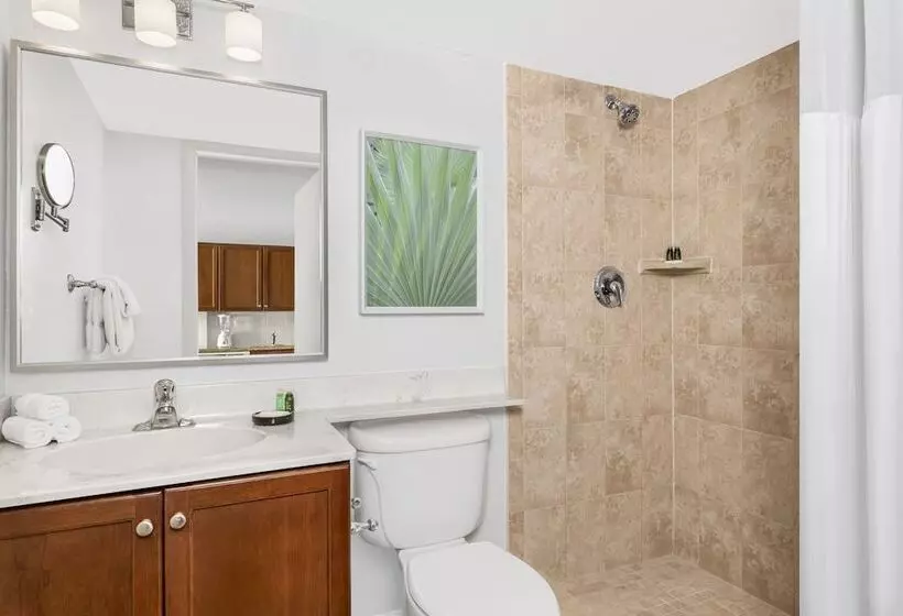 １ベッドルームアパートメント, Club Wyndham Santa Barbara