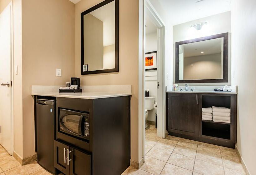 غرفه قياسيه سريرين مزدوجين, Shephard S Beach Resort