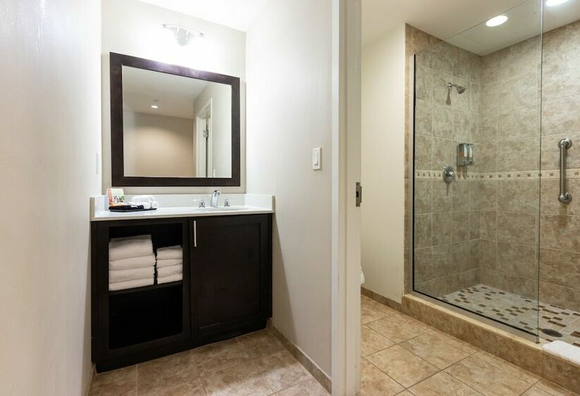 غرفه قياسيه سريرين مزدوجين, Shephard S Beach Resort