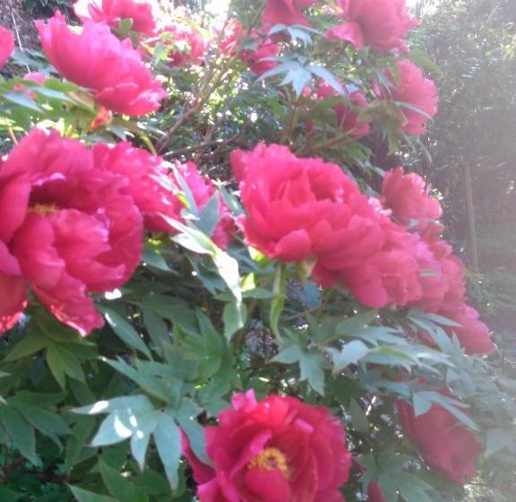 ガーデンビュースタンダード4ベッドルーム, Les Chambres D Hôtes Le Val D Honfleur