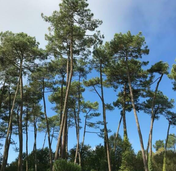Perhehuone, Chambres D Hôtes La Téouleyre