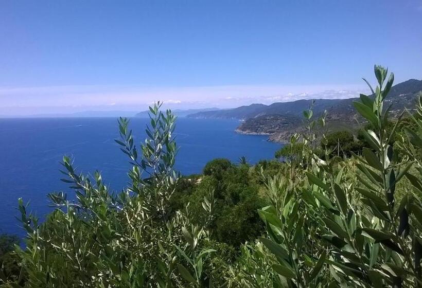 اتاق استاندارد با بالکن, La Giada Del Mesco