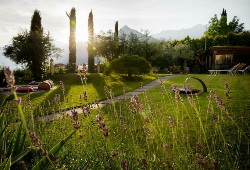 ガーデンビュースタンダードルーム, Lagrein