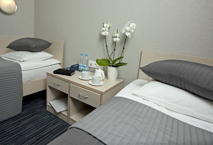 غرفة قياسية, Comfort Hotel Air Express Sheremetievo