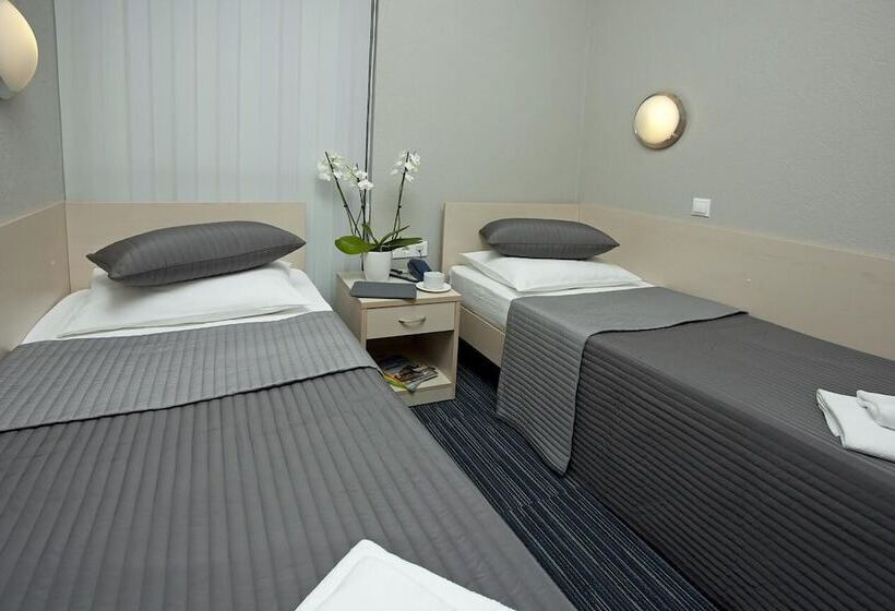 غرفة قياسية, Comfort Hotel Air Express Sheremetievo