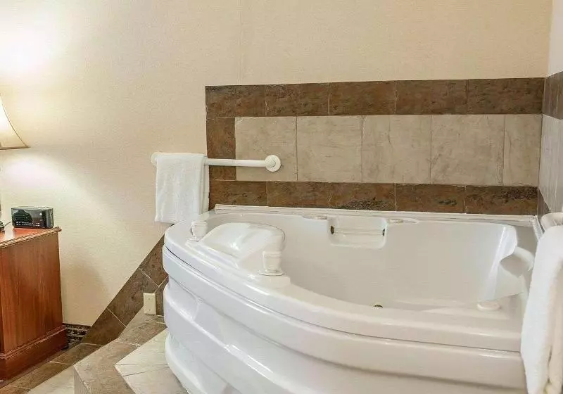 Sviitti King-vuode, Baymont By Wyndham South Bend Near Notre Dame