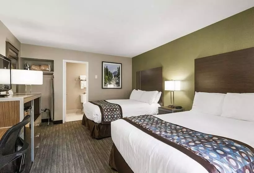 اتاق استاندارد با 2 تخت دوبل, Heritage Inn Yosemite/sonora