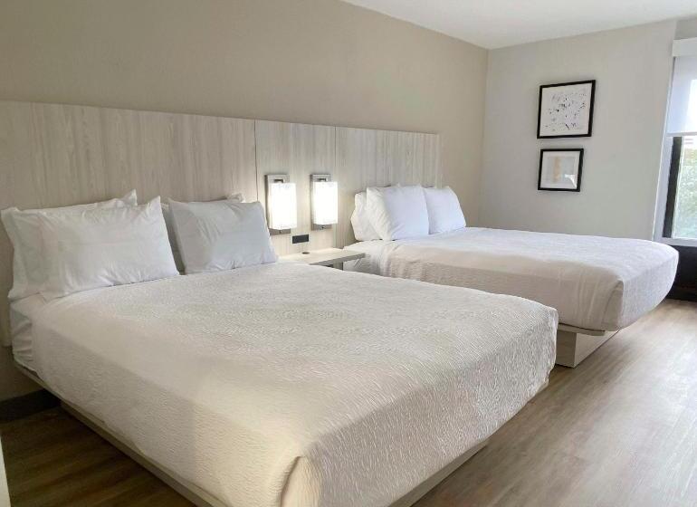 Номер Стандарт, Best Western Plus Sugar Land Stafford