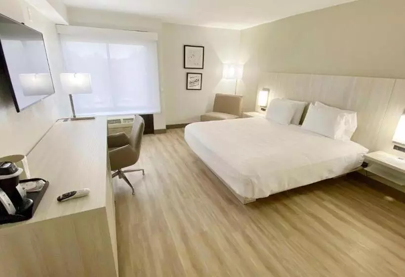 キングサイズベッドのスタンダードルーム, Best Western Plus Sugar Land Stafford