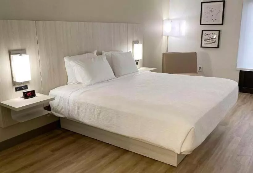 キングサイズベッドのスタンダードルーム, Best Western Plus Sugar Land Stafford
