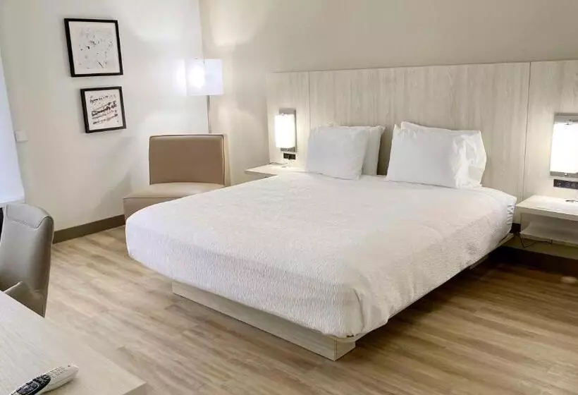 身障者適用キングサイズベッドルーム, Best Western Plus Sugar Land Stafford