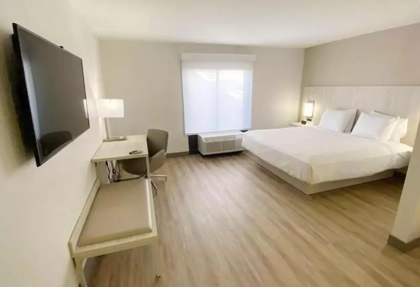 身障者適用キングサイズベッドルーム, Best Western Plus Sugar Land Stafford