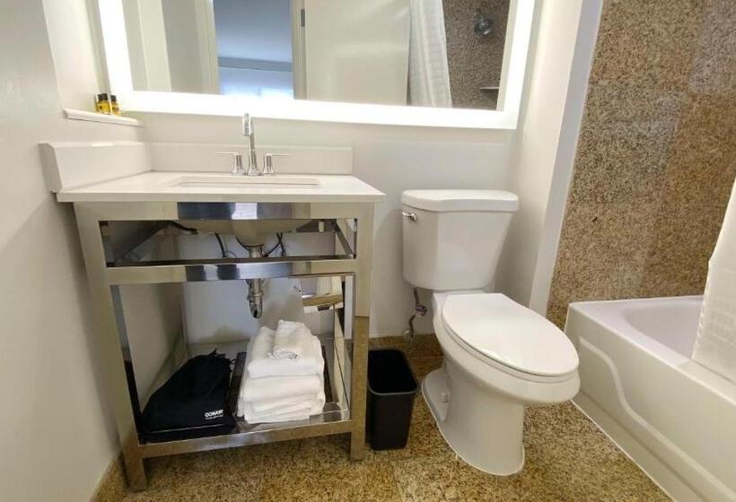 Номер Стандарт Кровать Кинг Адаптированный для Инвалидов, Best Western Plus Sugar Land Stafford