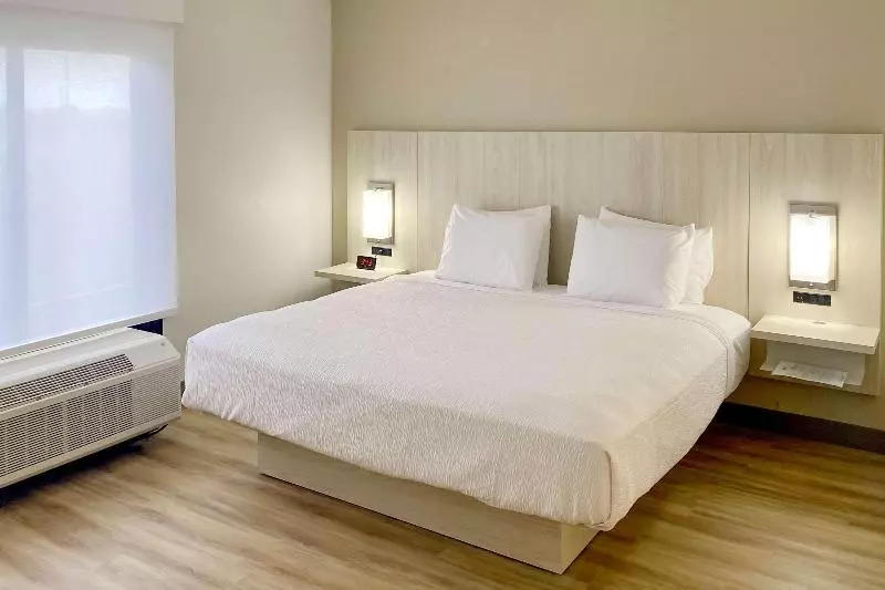 身障者適用キングサイズベッドルーム, Best Western Plus Sugar Land Stafford