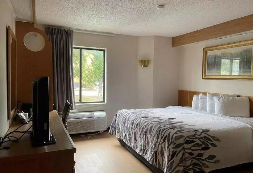 キングサイズベッドのスーペリアルーム, Red Roof Inn Branson