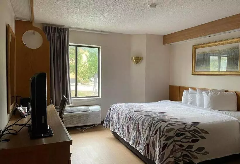 キングサイズベッドのスーペリアルーム, Red Roof Inn Branson