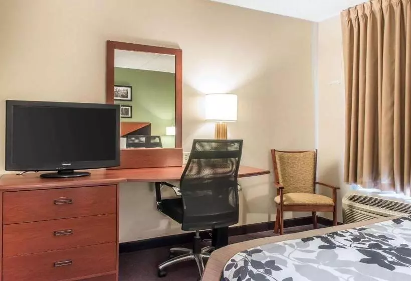 身障者適用スタンダードルーム, Sleep Inn & Suites Of Lancaster County