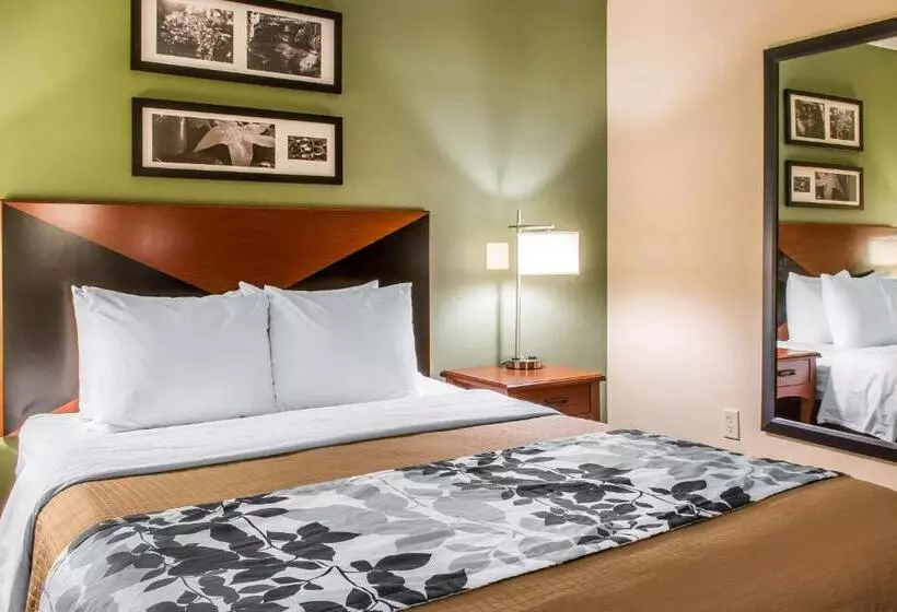 身障者適用スタンダードルーム, Sleep Inn & Suites Of Lancaster County