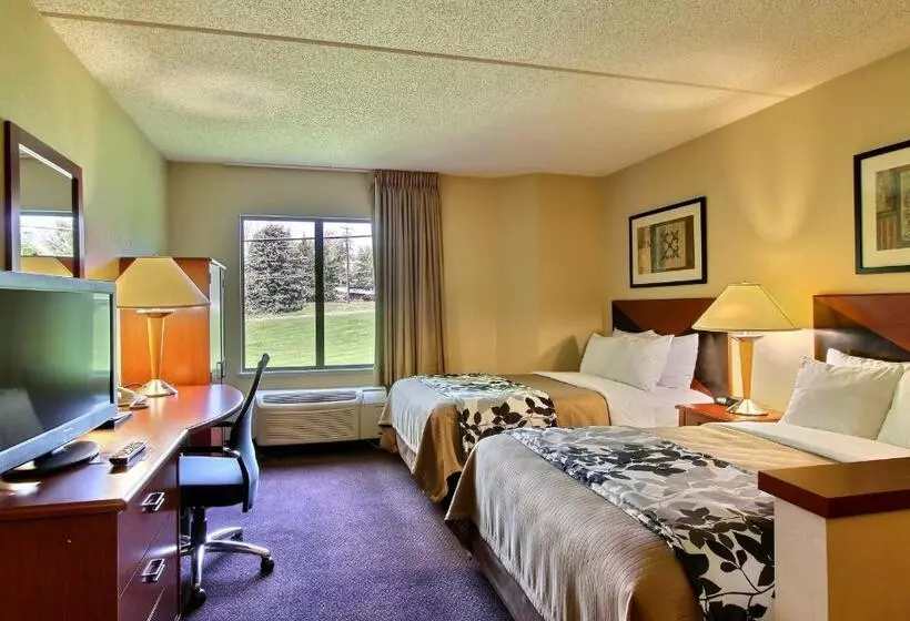 ２ダブルベッドのスタンダードルーム, Sleep Inn & Suites Of Lancaster County