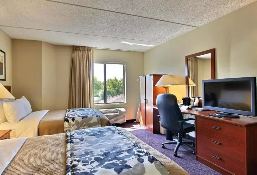２ダブルベッドのスタンダードルーム, Sleep Inn & Suites Of Lancaster County