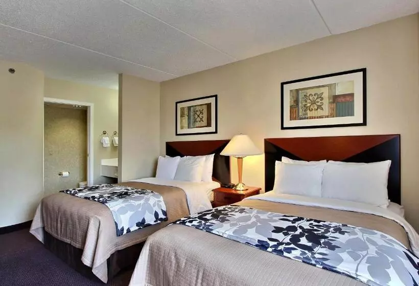 ２ダブルベッドのスタンダードルーム, Sleep Inn & Suites Of Lancaster County