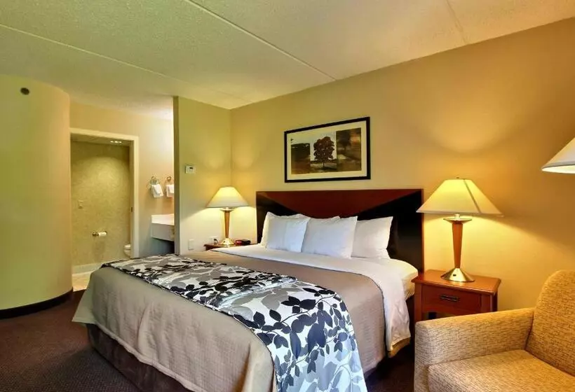 キングサイズベッドのスタンダードルーム, Sleep Inn & Suites Of Lancaster County