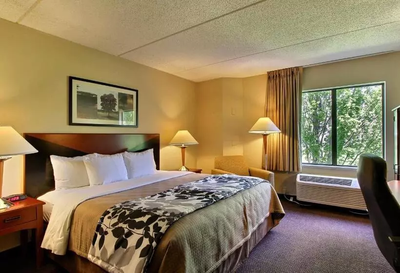 キングサイズベッドのスタンダードルーム, Sleep Inn & Suites Of Lancaster County