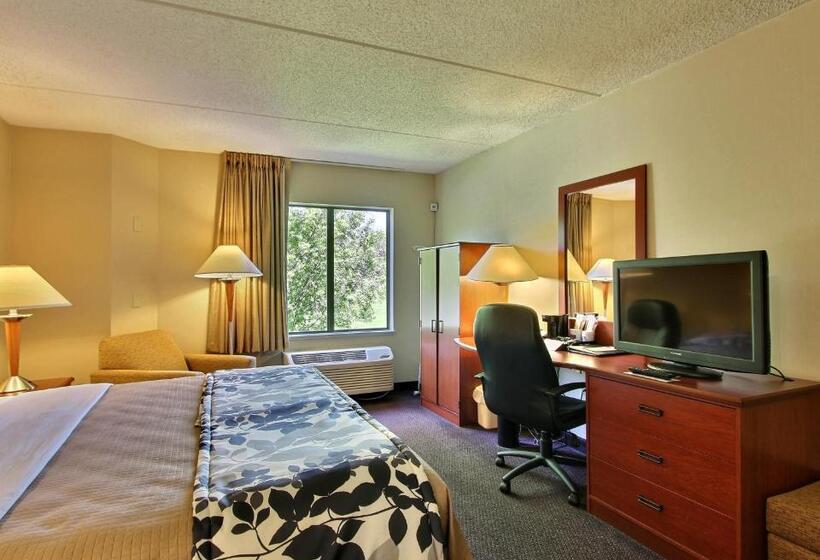 Стандартный Номер Кровать Кинг, Sleep Inn & Suites Of Lancaster County