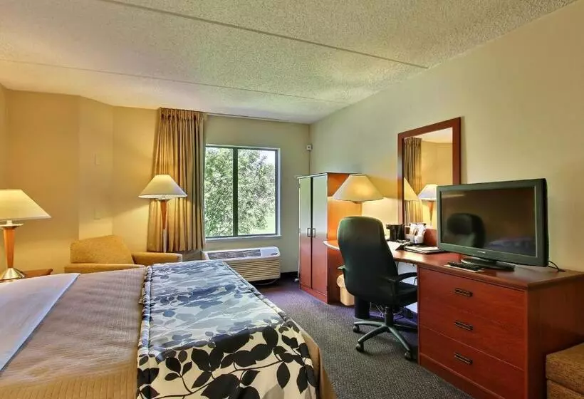 キングサイズベッドのスタンダードルーム, Sleep Inn & Suites Of Lancaster County