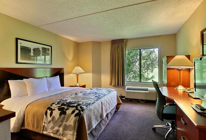 Стандартный Номер Кровать Кинг, Sleep Inn & Suites Of Lancaster County