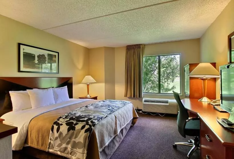 キングサイズベッドのスタンダードルーム, Sleep Inn & Suites Of Lancaster County