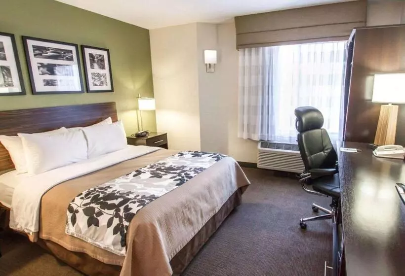 キングサイズベッドのスタンダードルーム, Sleep Inn North Scottsdale Near Mayo Clinic