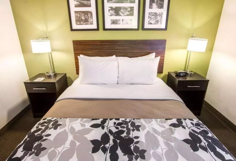 キングサイズベッドのスタンダードルーム, Sleep Inn North Scottsdale Near Mayo Clinic