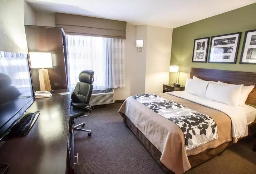 キングサイズベッドのスタンダードルーム, Sleep Inn North Scottsdale Near Mayo Clinic