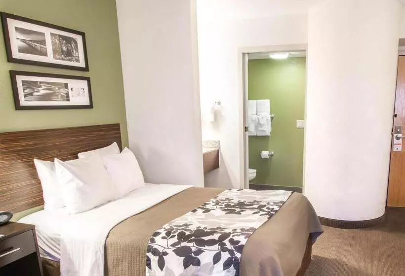 キングサイズベッドのスタンダードルーム, Sleep Inn North Scottsdale Near Mayo Clinic