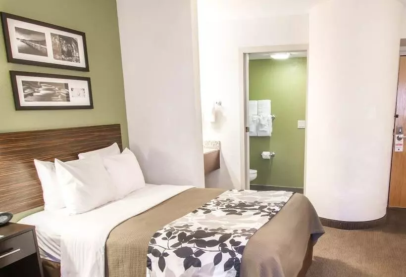 ２ダブルベッドのスタンダードルーム, Sleep Inn North Scottsdale Near Mayo Clinic
