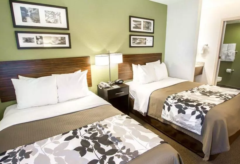 ２ダブルベッドのスタンダードルーム, Sleep Inn North Scottsdale Near Mayo Clinic