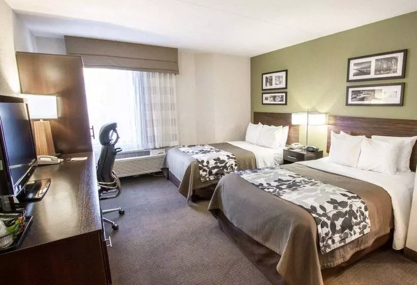 ２ダブルベッドのスタンダードルーム, Sleep Inn North Scottsdale Near Mayo Clinic