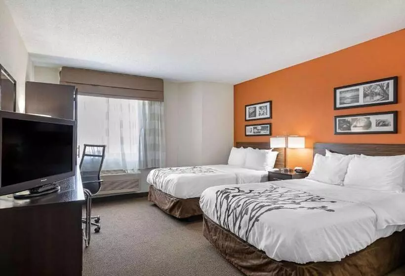 ２ダブルベッドのスタンダードルーム, Sleep Inn Dewitt   Lansing North