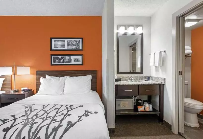 ２ダブルベッドのスタンダードルーム, Sleep Inn Dewitt   Lansing North