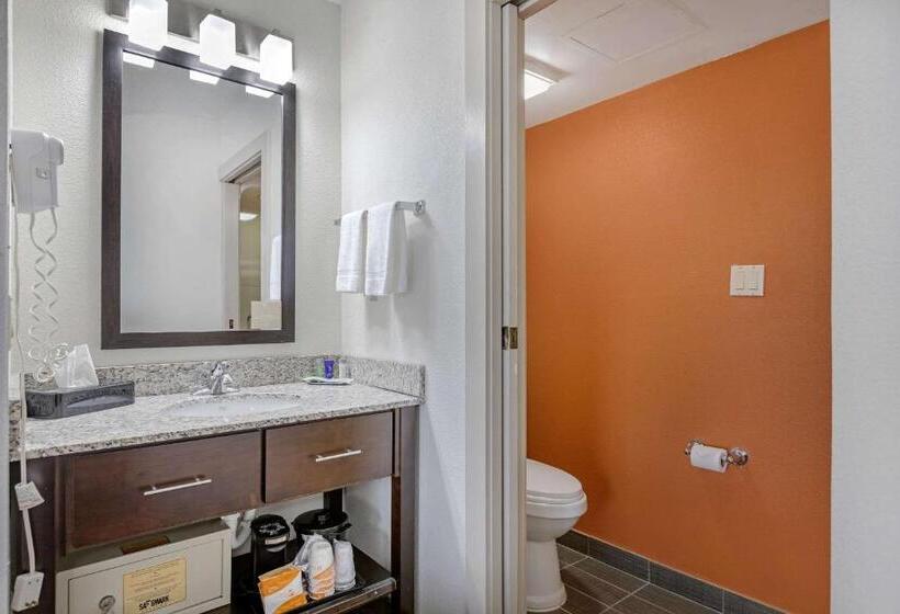 带2个双人床的标准工作室, Sleep Inn Dewitt   Lansing North