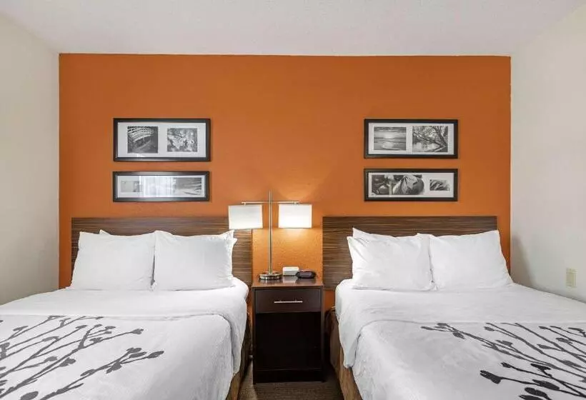 ２ダブルベッドのスタンダードルーム, Sleep Inn Dewitt   Lansing North