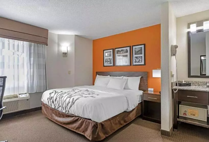 キングサイズベッドのスタンダードルーム, Sleep Inn Dewitt   Lansing North