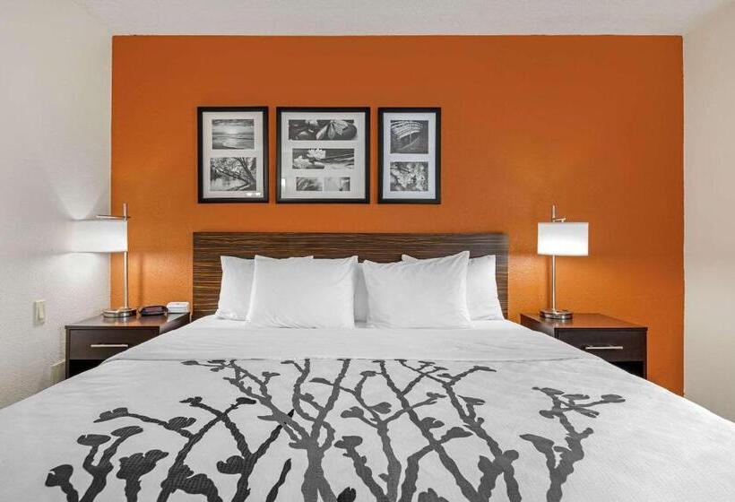 غرفة قياسية سرير كينج, Sleep Inn Dewitt   Lansing North
