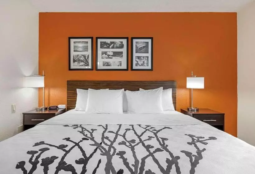 キングサイズベッドのスタンダードルーム, Sleep Inn Dewitt   Lansing North